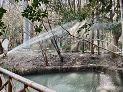 -同里国家湿地公园