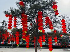 -圆明园停车场