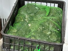 -鸿顺老铁锅美蛙鱼府(解放碑店)