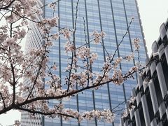 -苏州现代传媒广场商业