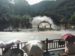 -西双版纳原始森林公园