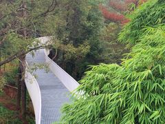 -昆明市金殿名胜区