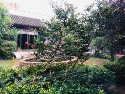 -北京市东城区妇幼保健院(北院区)