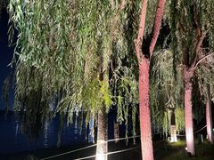 -北龙湖湿地公园