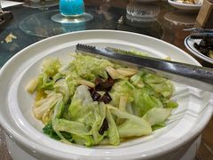 -蒙古大营(朝阳公园店)