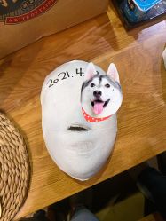 -小颜秘家·韩国整骨