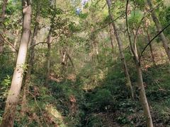 -杭州半山国家森林公园