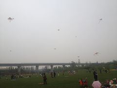-秀丽东方