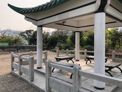 -讯号山花园