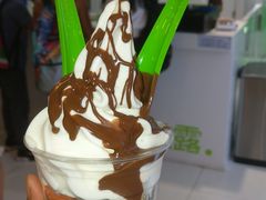 -Salud撒露欧洲冻酸奶(蓝色港湾店)