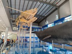 -上海海洋大学鱼文化博物馆(军工路校区)