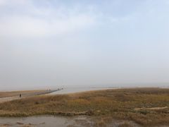 -南汇嘴观海公园