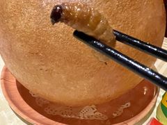 -石岐乳鸽村(南海第三分店)