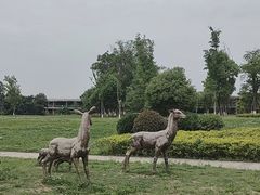 -白鹭湾湿地公园