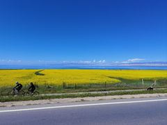 -青海湖国家重点风景名胜区