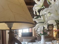 -一棵树·意大利西餐厅One Tree(新城店)