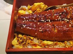 蒲烧鳗鱼饭-羽寿司(东方宝泰店)