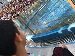 -北戴河圣蓝海洋公园