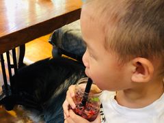 -more than meow吴止猫主题餐厅(承德 中船汇店)