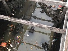 -洞里萨湖
