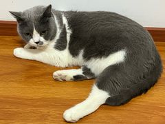 -酷宠动物医院(天通西苑店)