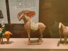 -西安大唐西市博物馆