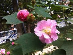 75-南京特殊教育师范学院(燕子矶校区)