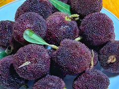 -温州一家人美食(西木头市店)