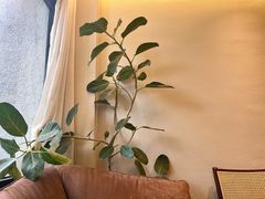 -COTTON CAFE(德信·中外公寓店)