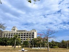 -风云岭森林公园