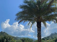 -腾冲洞山温泉村