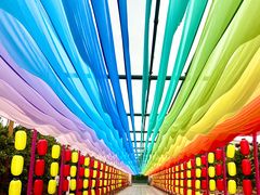 -漩门湾国家湿地公园