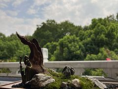 -杭州香格里拉·香宫中餐厅