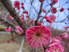 -白塘生态植物园