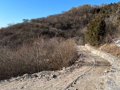 -北京西山国家森林公园