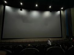 -天幕新彩云国际影城(激光巨幕店)