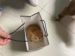 -关爱动物医院·心脏·中兽医·异宠(金牛路分院)