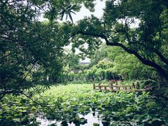 -上海醉白池公园