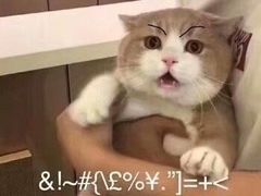 -李小姐の猫咖啡馆(五角场店)