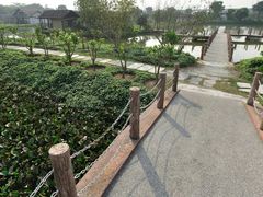 -海上田园