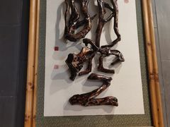 -乐山乌木文化博览苑