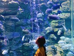 -成都浩海立方海洋公园