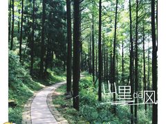 -莫干山风景区