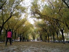 -哈尔滨师范大学(江南校区)