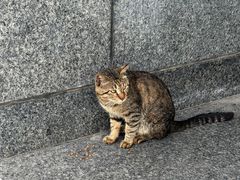 -杭州口腔医院(城西院区)