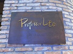 -Professor Lee (K11艺术中心店)