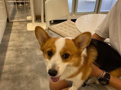 -嗒令甜品·主题融合料理餐厅(首座时代店)