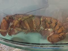 -抹直口特色菜馆(一店)