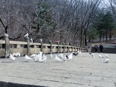 -丹东凤凰山景区