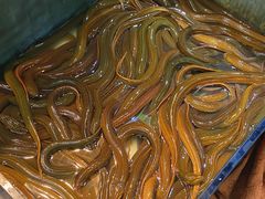 景观位-天宝食坊·啫啫煲大排档(西华路店)